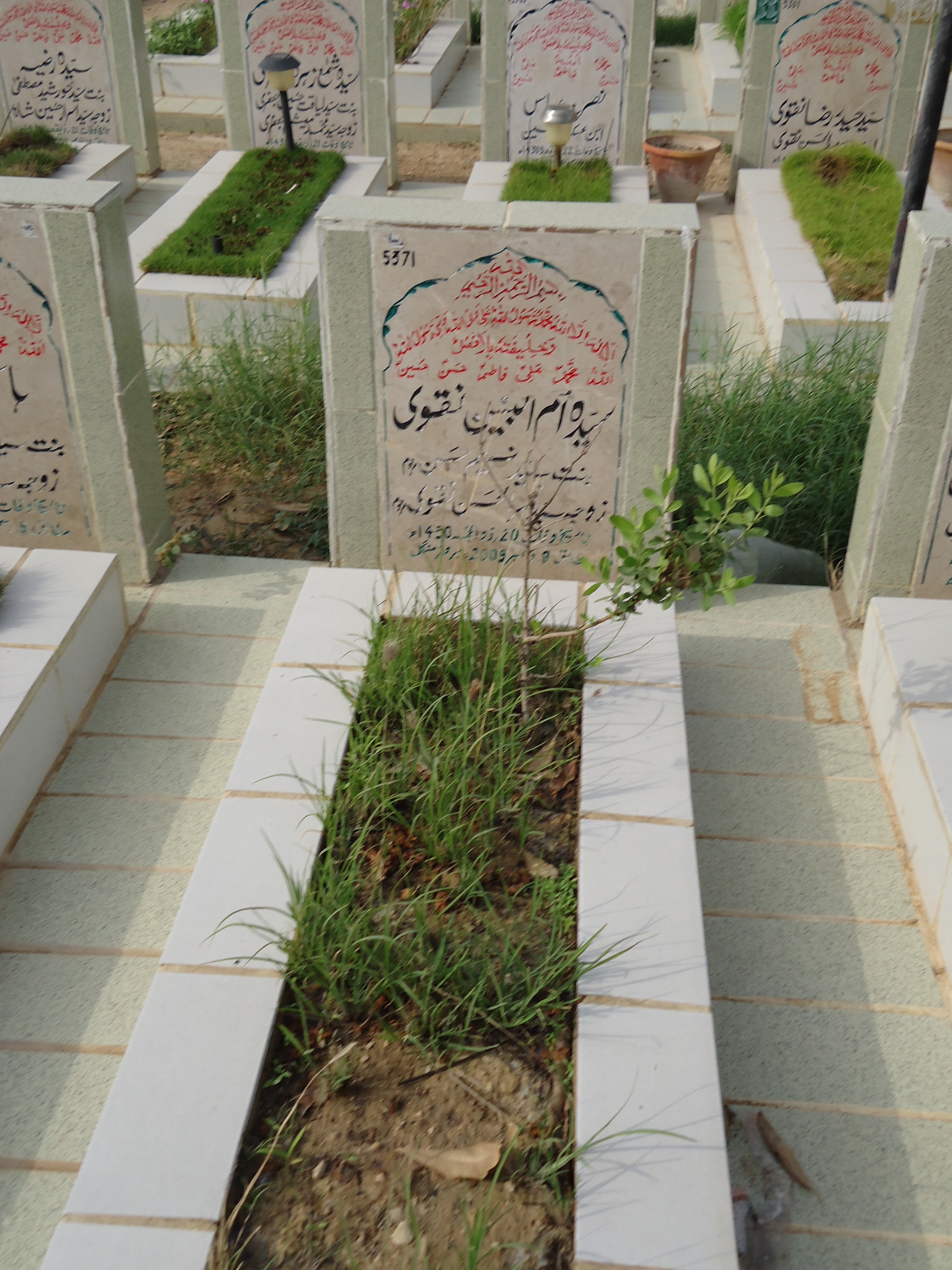 5371 – Syeda Umul Baneen Naqvi